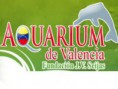 /album/actividades-extraescolares/imagesn9elv8qb-jpg/